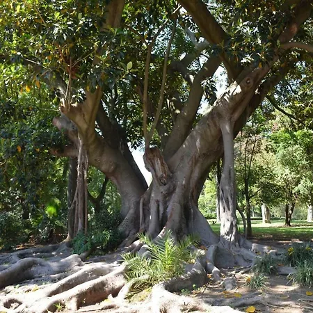 Atelier - House In Belem 아파트